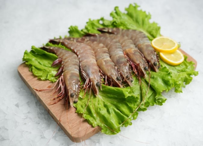 Sea Angel HO Tigerの写真