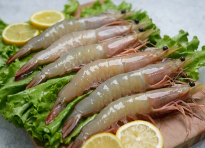 Sea Angel HO Bananaの写真