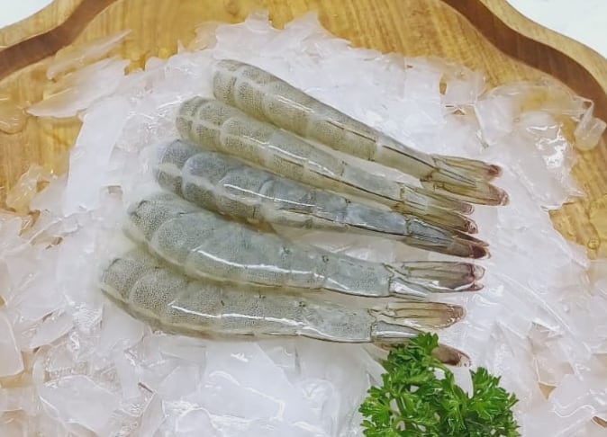 TOX EZPの写真