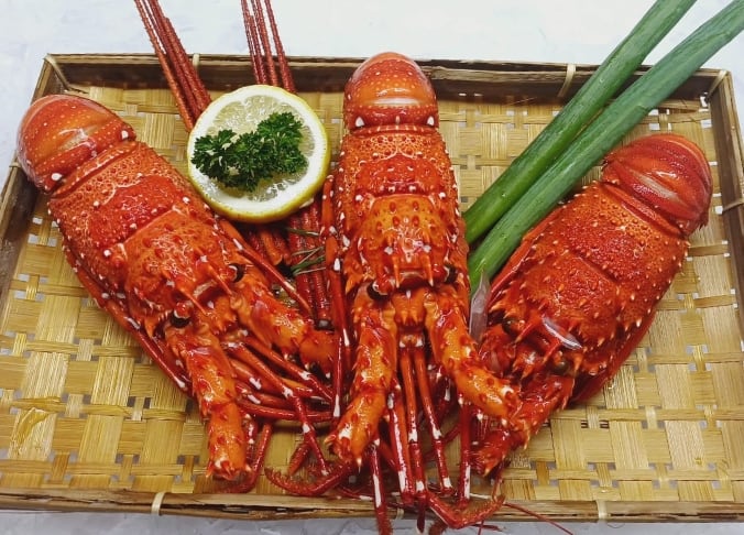 TOX Lobster Boilの写真